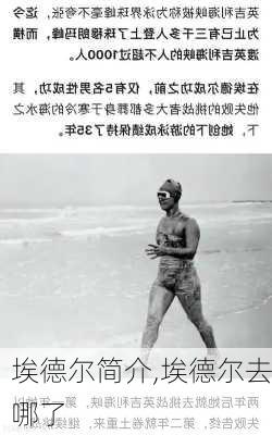 埃德尔简介,埃德尔去哪了