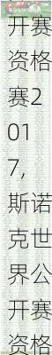 斯诺克世界公开赛资格赛2017,斯诺克世界公开赛资格赛2017年