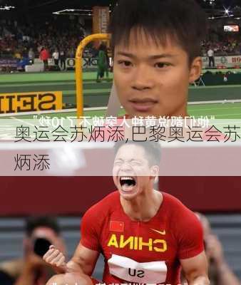 奥运会苏炳添,巴黎奥运会苏炳添