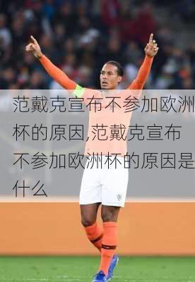 范戴克宣布不参加欧洲杯的原因,范戴克宣布不参加欧洲杯的原因是什么