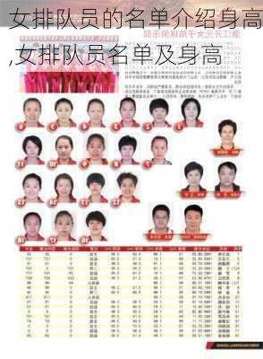 女排队员的名单介绍身高,女排队员名单及身高