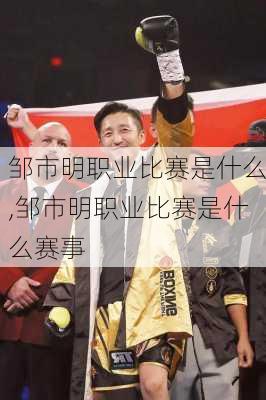 邹市明职业比赛是什么,邹市明职业比赛是什么赛事