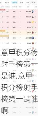意甲积分榜射手榜第一是谁,意甲积分榜射手榜第一是谁啊