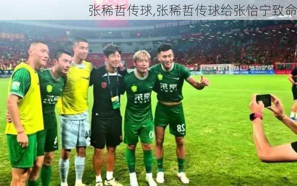 张稀哲传球,张稀哲传球给张怡宁致命