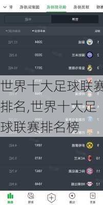 世界十大足球联赛排名,世界十大足球联赛排名榜