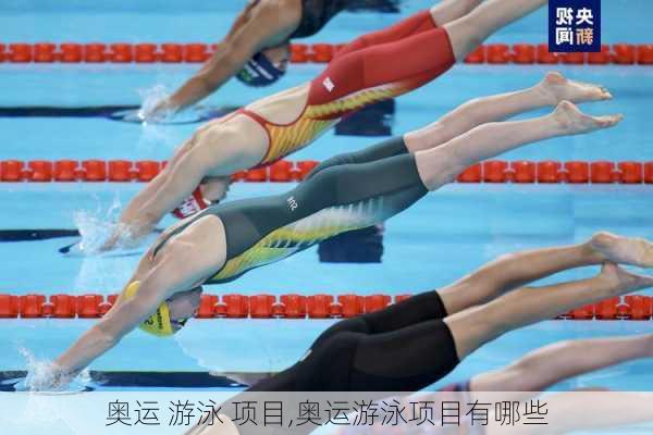 奥运 游泳 项目,奥运游泳项目有哪些