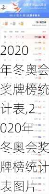 2020年冬奥会奖牌榜统计表,2020年冬奥会奖牌榜统计表图片