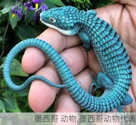墨西哥 动物,墨西哥动物代表