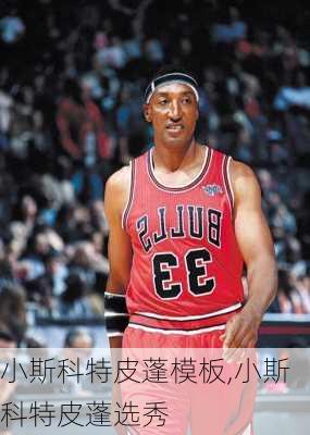 小斯科特皮蓬模板,小斯科特皮蓬选秀