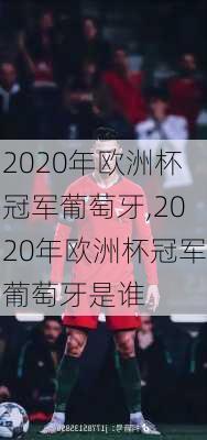 2020年欧洲杯冠军葡萄牙,2020年欧洲杯冠军葡萄牙是谁