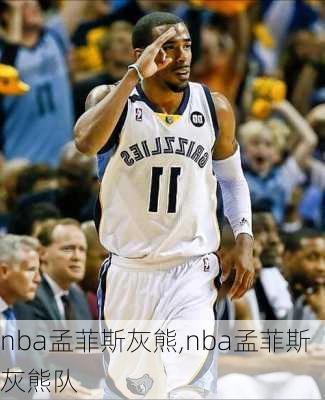 nba孟菲斯灰熊,nba孟菲斯灰熊队