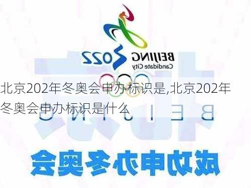 北京202年冬奥会申办标识是,北京202年冬奥会申办标识是什么