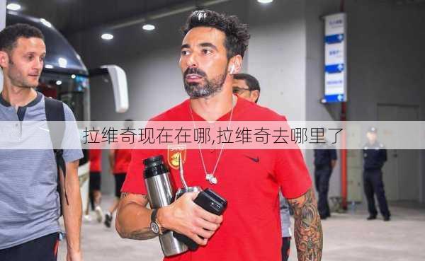 拉维奇现在在哪,拉维奇去哪里了