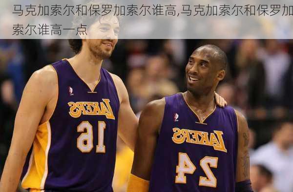马克加索尔和保罗加索尔谁高,马克加索尔和保罗加索尔谁高一点