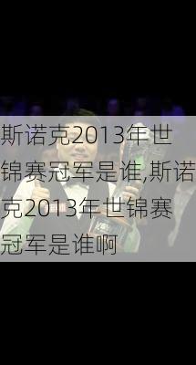 斯诺克2013年世锦赛冠军是谁,斯诺克2013年世锦赛冠军是谁啊