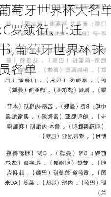 葡萄牙世界杯大名单:C罗领衔、l:迁书,葡萄牙世界杯球员名单