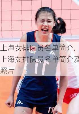 上海女排队员名单简介,上海女排队员名单简介及照片