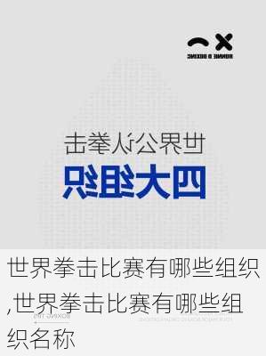 世界拳击比赛有哪些组织,世界拳击比赛有哪些组织名称