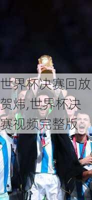 世界杯决赛回放贺炜,世界杯决赛视频完整版