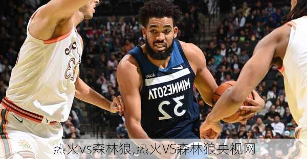 热火vs森林狼,热火VS森林狼央视网