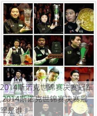 2014斯诺克世锦赛决赛冠军,2014斯诺克世锦赛决赛冠军是谁