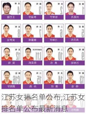 江苏女排名单公布,江苏女排名单公布最新消息