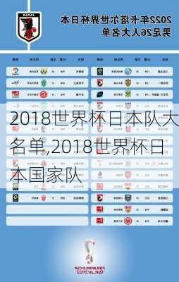 2018世界杯日本队大名单,2018世界杯日本国家队