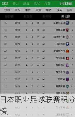 日本职业足球联赛积分榜,
