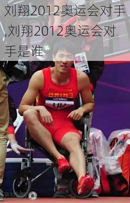 刘翔2012奥运会对手,刘翔2012奥运会对手是谁