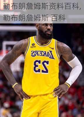 勒布朗詹姆斯资料百科,勒布朗詹姆斯 百科