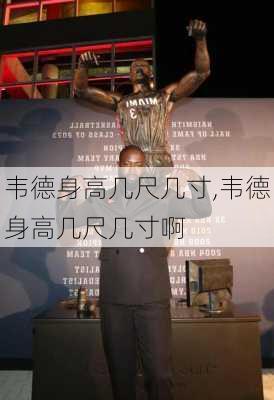 韦德身高几尺几寸,韦德身高几尺几寸啊