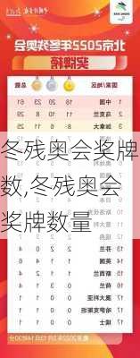 冬残奥会奖牌数,冬残奥会奖牌数量