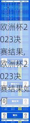 欧洲杯2023决赛结果,欧洲杯2023决赛结果如何