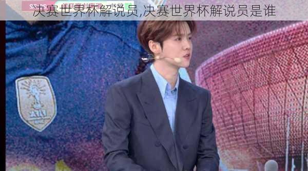 决赛世界杯解说员,决赛世界杯解说员是谁