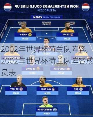 2002年世界杯荷兰队阵容,2002年世界杯荷兰队阵容成员表