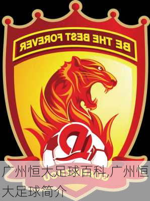 广州恒大足球百科,广州恒大足球简介