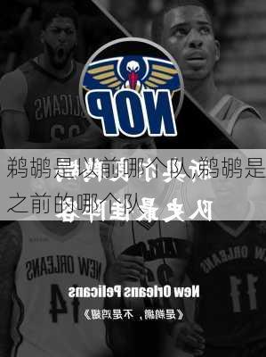 鹈鹕是以前哪个队,鹈鹕是之前的哪个队