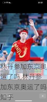 林丹参加东京奥运了吗,林丹参加东京奥运了吗知乎