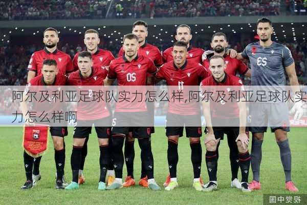 阿尔及利亚足球队实力怎么样,阿尔及利亚足球队实力怎么样啊