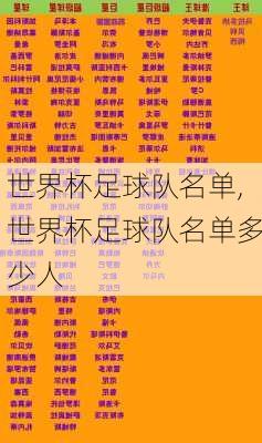 世界杯足球队名单,世界杯足球队名单多少人