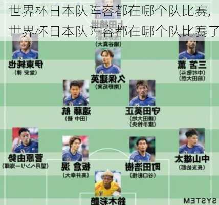世界杯日本队阵容都在哪个队比赛,世界杯日本队阵容都在哪个队比赛了