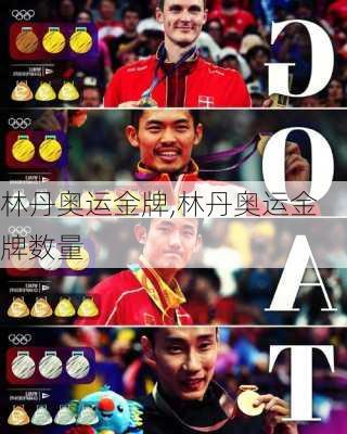 林丹奥运金牌,林丹奥运金牌数量