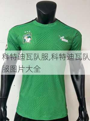 科特迪瓦队服,科特迪瓦队服图片大全