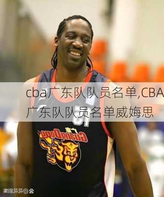 cba广东队队员名单,CBA广东队队员名单威娒思
