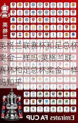 英格兰联赛杯和足总杯奖金一样吗,英格兰联赛杯和足总杯奖金一样吗知乎