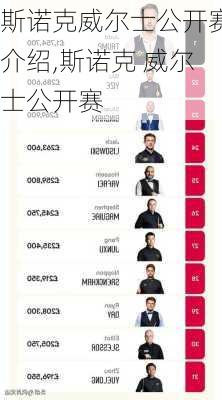 斯诺克威尔士公开赛介绍,斯诺克 威尔士公开赛