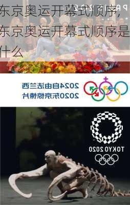 东京奥运开幕式顺序,东京奥运开幕式顺序是什么