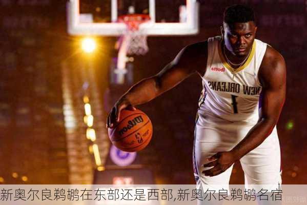新奥尔良鹈鹕在东部还是西部,新奥尔良鹈鹕名宿