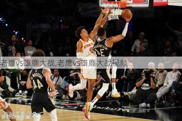 老鹰vs雄鹿大战,老鹰vs雄鹿大战视频