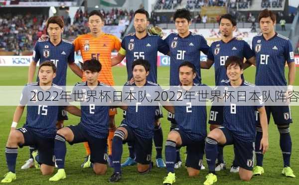 2022年世界杯日本队,2022年世界杯日本队阵容